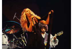 Fleetwood Mac #2